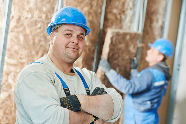 Best Wall Insulation Installation  in Danvers, IL